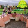 Festa_Primav_2011_bottega_3